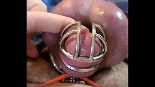 Rubbing My Caged Sissy Clit all over Orgasm